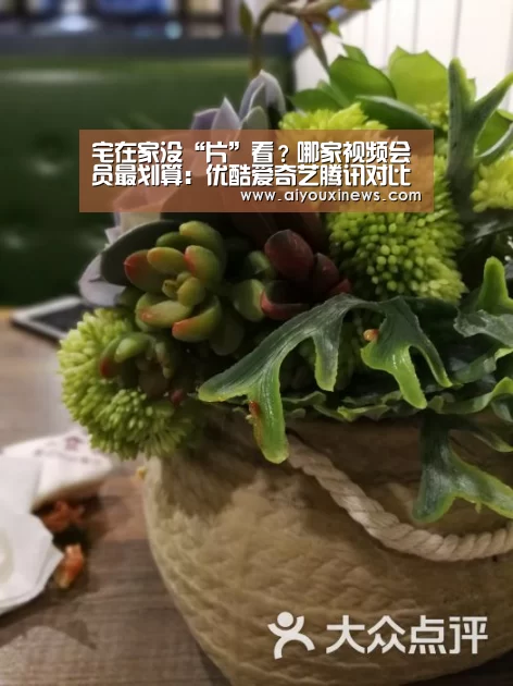 宅在家没“片”看?哪家视频会员最划算:优酷爱奇艺腾讯对比“爱游戏直播”(图3) 爱游戏直播