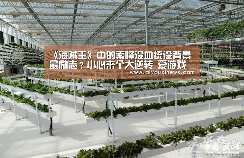 爱游戏直播