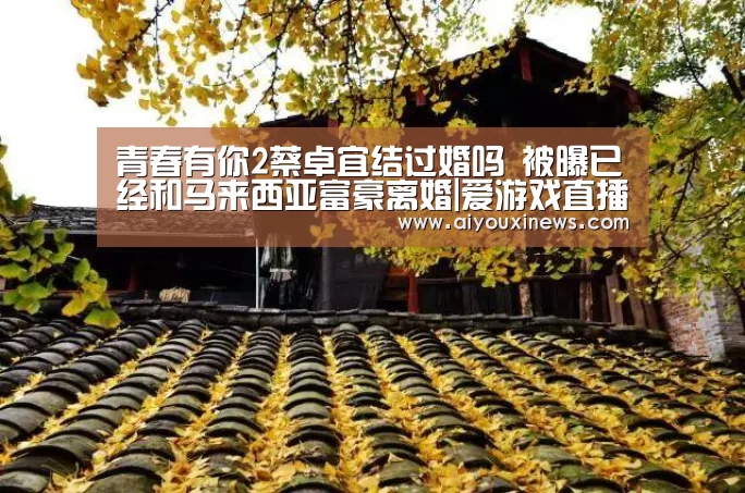 爱游戏娱乐